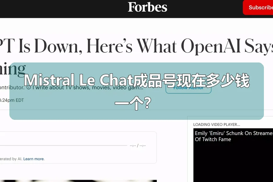 Mistral Le Chat成品号现在多少钱一个?
